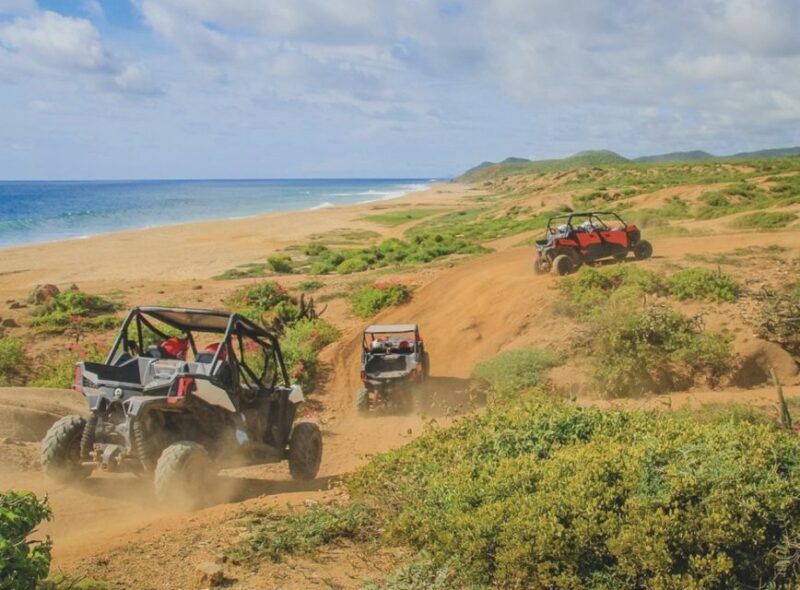 Off-Road Side by Side Tour and Tacos - Key Points