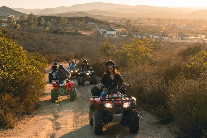 Off Road Tour Experience Plus Winery Visit in Baja - Winery Tasting Options