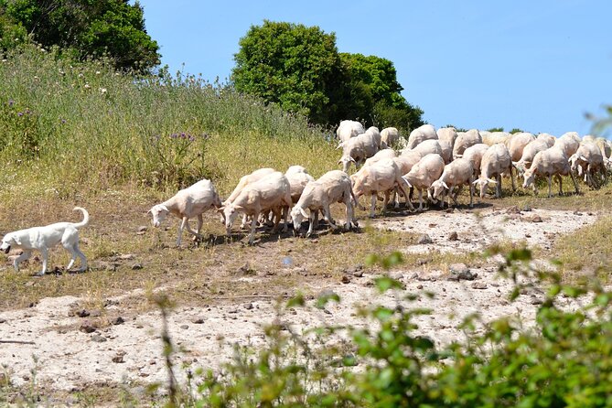 Off-Road Tour: Travel Inland - Overview of the Off-Road Tour