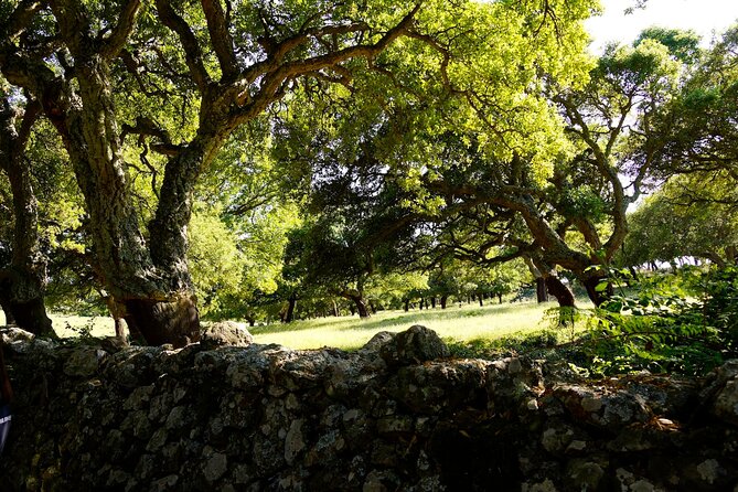 Off-Road Tour: Travel Inland - Delicious Local Snacks and Beverages