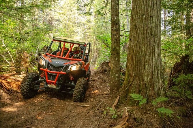 Off-Road UTV Tour: Explore Puerto Rico Minutes From San Juan - Inclusions and Meeting Information