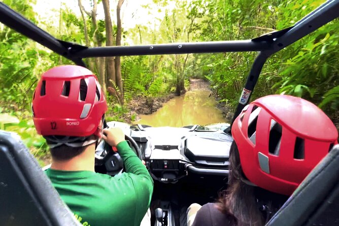 Off-Road UTV Tour: Explore Puerto Rico Minutes From San Juan - Company Commitment