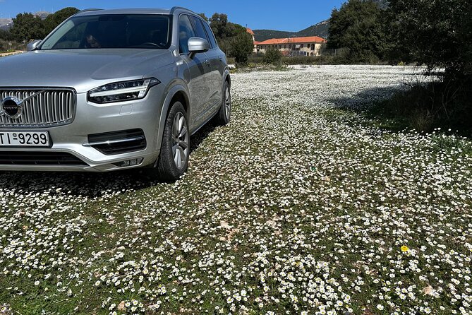 Off-Road Wine Fiesta at Cephalonia - Navigating the Off-Road Driving Excursion