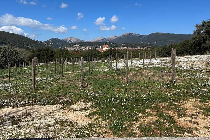 Off-Road Wine Fiesta at Cephalonia - Visiting Charming Local Villages and Caves