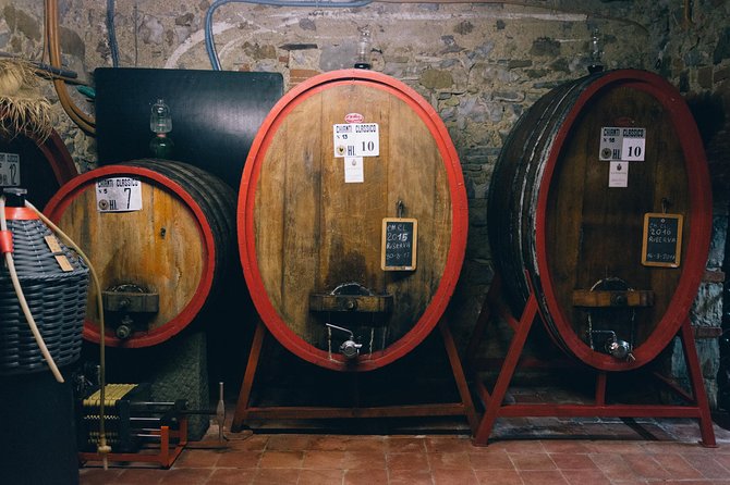 Off Road Wine Tour From Castellina in Chianti - Accessibility and Infant Seats