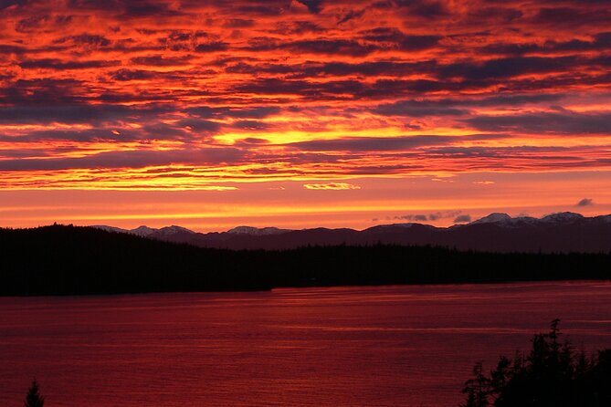 Off the Beaten Path Ketchikan Photo Safari - 3 Hr. - Small-Group Experience