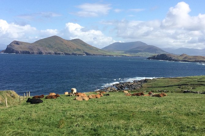 Off the Beaten Path Private Tour of Ring of Kerry - Transportation and Accessibility