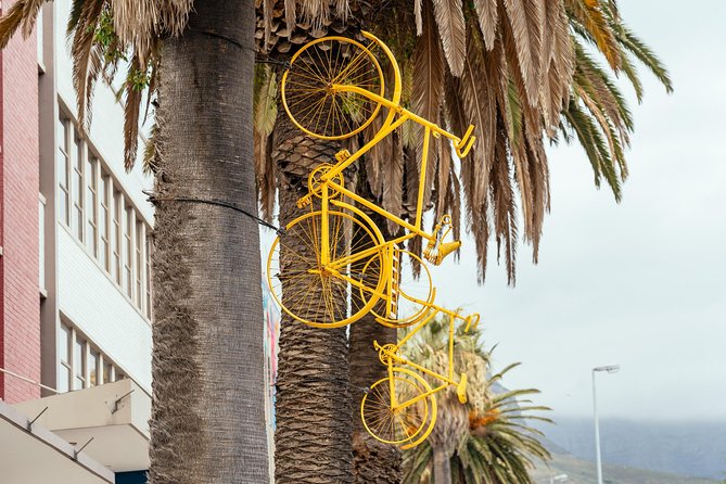Off the Beaten Track in Cape Town: Private City Tour - Transportation and Sustainability