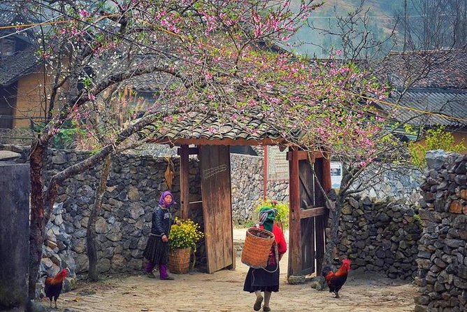 Off The Beaten Track In North Vietnam 8 Days 7 Nights - Exploring Sapas Landscapes
