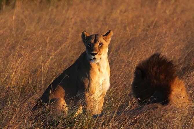Off the Beaten Track Safari in Arusha Tanzania - Accommodation and Amenities