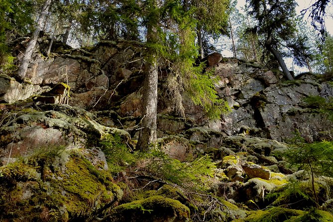 Off-Trail Nature Stockholm Hike - Location and Meeting Point
