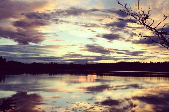 Off-Trail Nature Stockholm Hike - Itinerary and Highlights