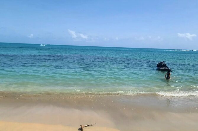 Off Trail Rainforest El Yunque and Beach Adventure Tour - Pickup and Parking