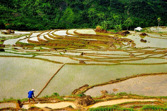Offbeat Trekking Tour: Pu Luong Nature Reserve 2 Days From Hanoi - Trekking Through Lush Rice Terraces