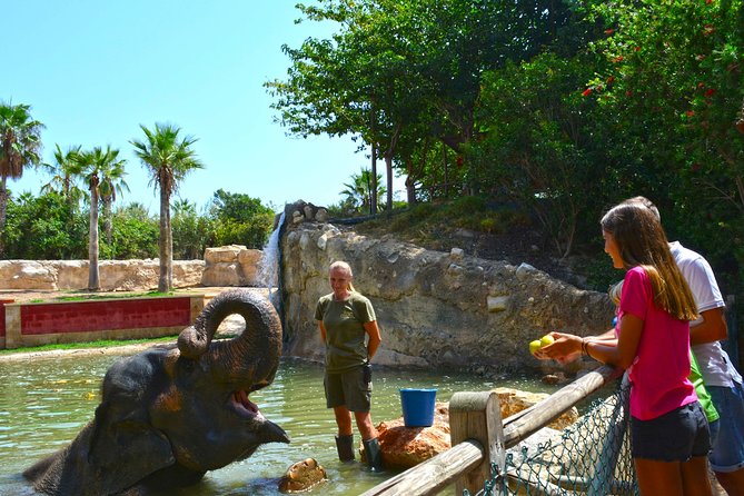 Offer Summer Terra Natura Entrance Ticket - Visitor Experience