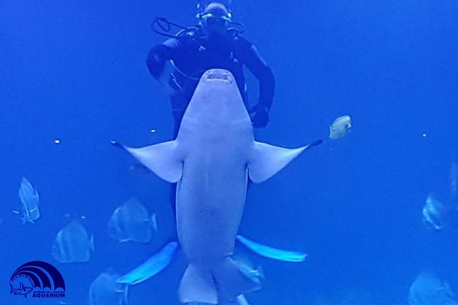 Official Account: Hurghada Grand Aquarium Entrance Tickets - Ticket Pricing and Availability