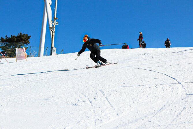 [OFFICIAL] Eden Valley Resort Winter Ski Day Tour from Busan - Who Should Consider This Tour?