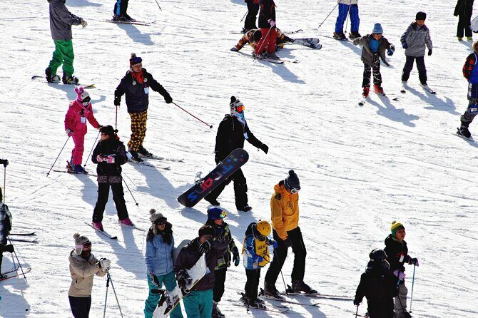 [OFFICIAL] Eden Valley Resort Winter Ski Day Tour from Busan - FAQ