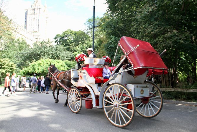 Official NYC Horse Carriage Rides in Central Park Since 1979 ™ - Carriage Ride Experience
