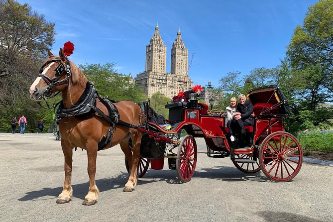 Official NYC Horse Carriage Rides in Central Park Since 1979 ™ - Meeting and Pickup