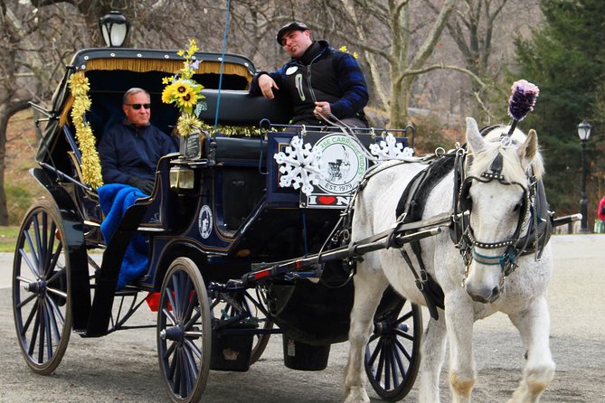 Official NYC Horse Carriage Rides in Central Park Since 1979 ™ - Additional Information