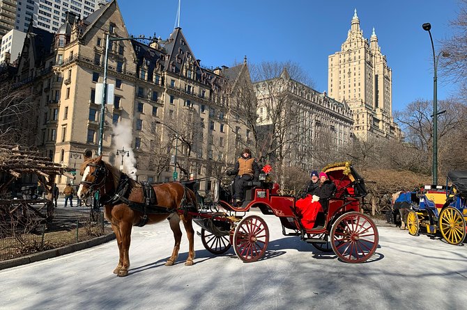 Official NYC Horse Carriage Rides in Central Park Since 1979 ™ - Reviews