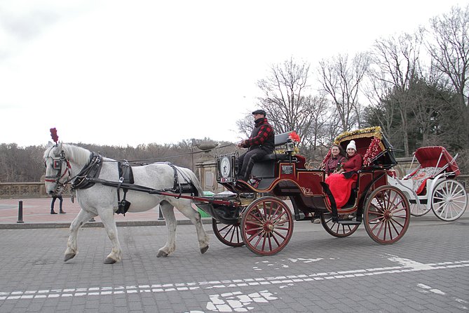 Official NYC Horse Carriage Rides in Central Park Since 1979 ™ - Booking and Cancellation