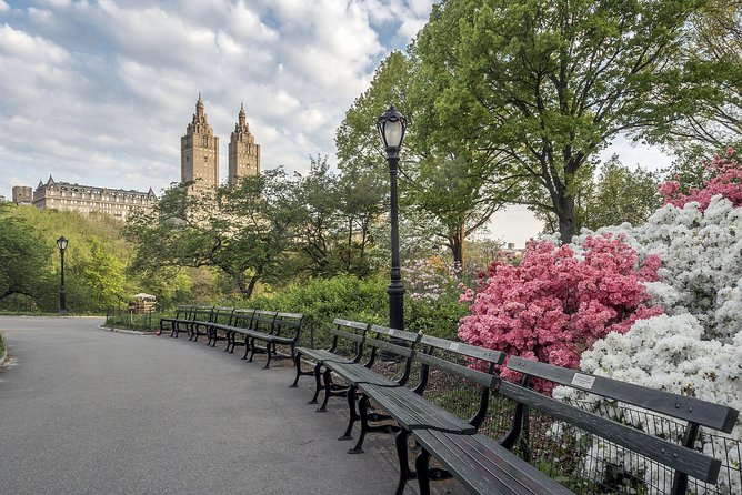 Official NYC Horse Carriage Rides in Central Park Since 1979 ™ - Horse Welfare and Comfort