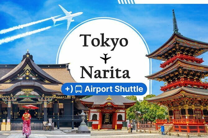 Official Street Go Kart Tour Akihabara 2nd - Who Will Love This?