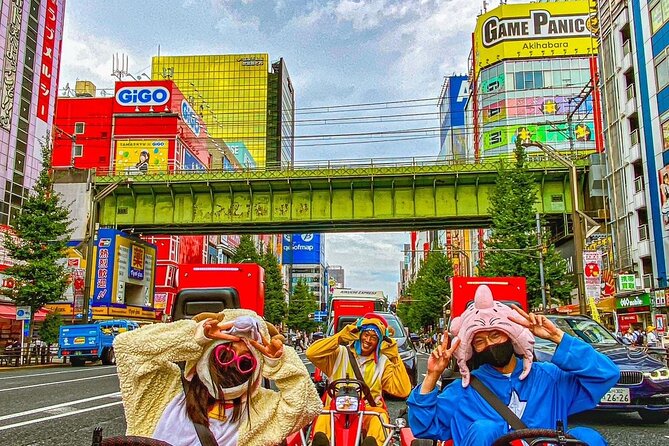 Official Street Go-Kart Tour - Akihabara - Additional Information