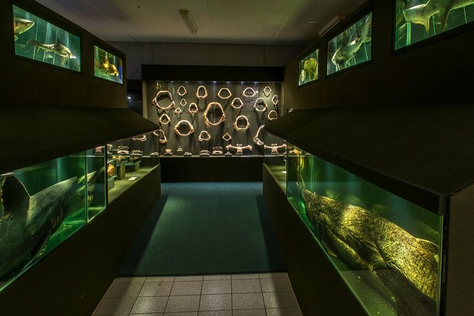 Official Ticket: Oceanographic Museum Univali - Piçarras - SC - Live Animal Exhibits