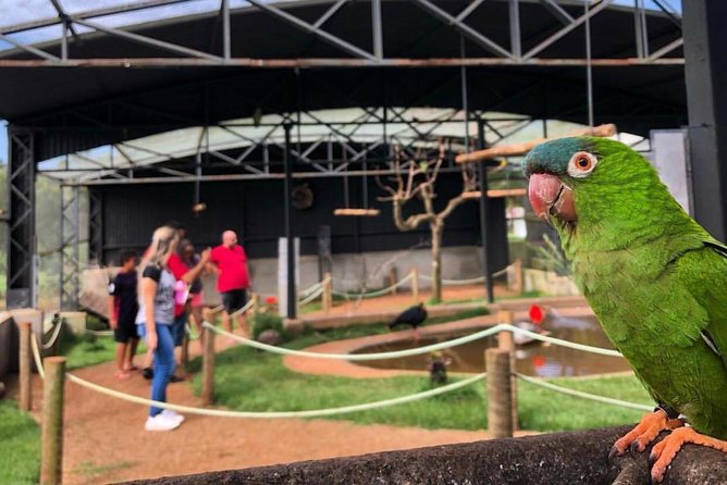 Official Ticket Zoo of the Birds - Poços De Caldas - Nearby Attractions