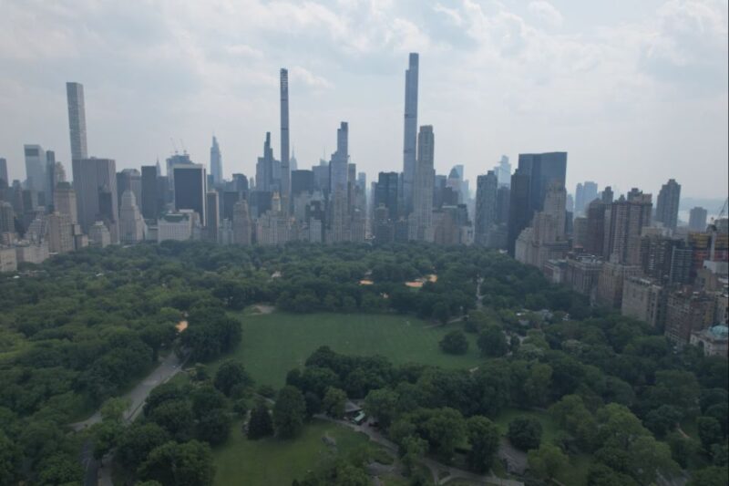 Official VIP Whole Central Park Horse Carriage Tour - Key Points