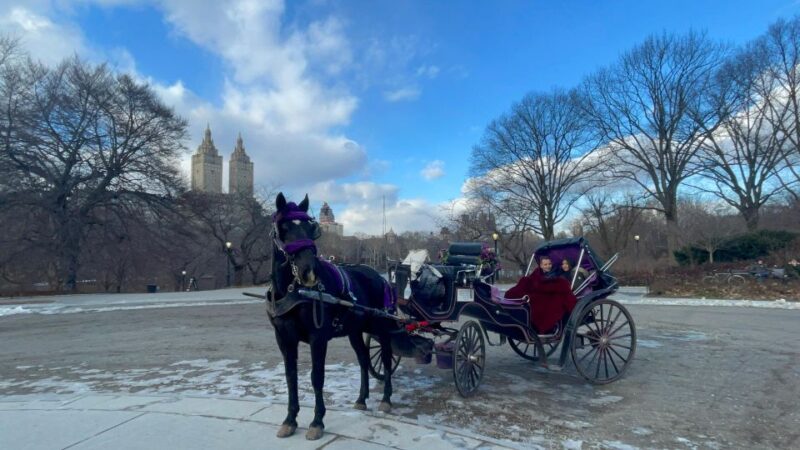 Official VIP Whole Central Park Horse Carriage Tour - Itinerary Highlights