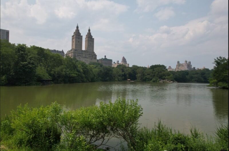 Official VIP Whole Central Park Horse Carriage Tour - Experience Details