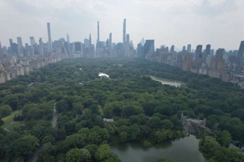 Official VIP Whole Central Park Horse Carriage Tour - Guided Tour Insights