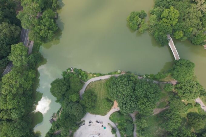 Official VIP Whole Central Park Horse Carriage Tour - Booking Information