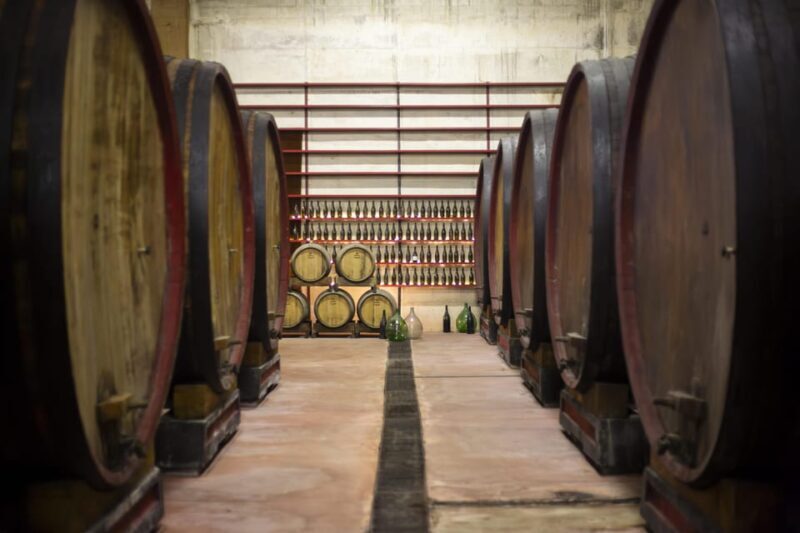 Offida: Tasting Itinerary of Rosso Piceno DOC Superiore - Wine Tasting Experience