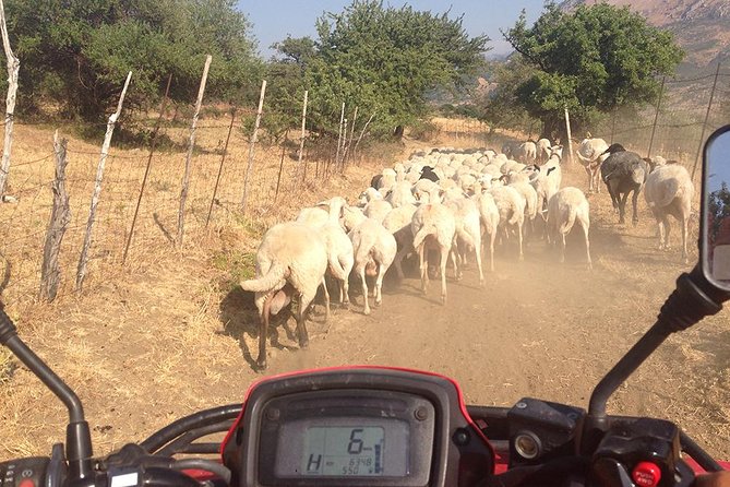 Offroad Cefalù Quad Tour - Quad Experience
