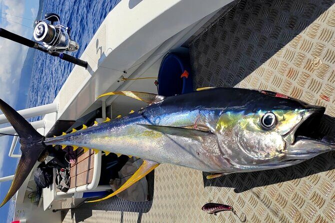 Offshore fishing around the Teahupo'o wave - The Vessel and Its Cultural Charm