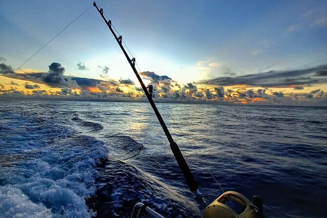 Offshore fishing around the Teahupo'o wave - The Marine Life and Wildlife Encounters
