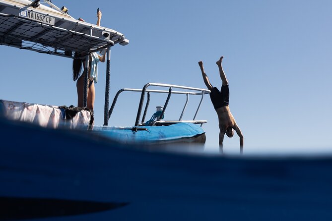 Offshore Safari Adventure in Kona With Underwater Photos - Key Points