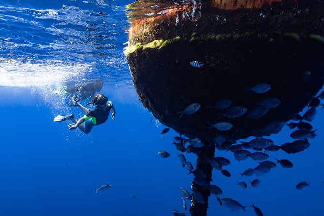 Offshore Safari Adventure in Kona With Underwater Photos - Fueling the Exploration With Refreshments