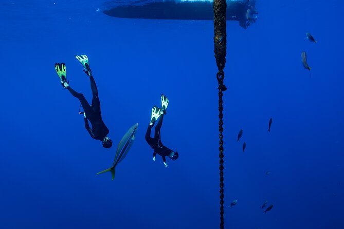 Offshore Safari Adventure in Kona With Underwater Photos - Conveniently Located Meeting Point