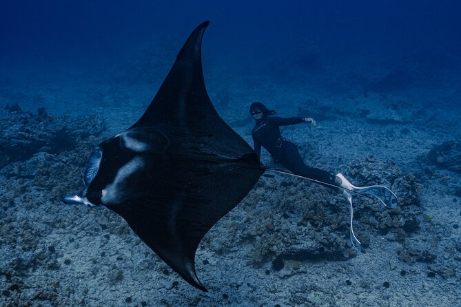 Offshore Safari Adventure in Kona With Underwater Photos - Accessibility and Suitability Considerations