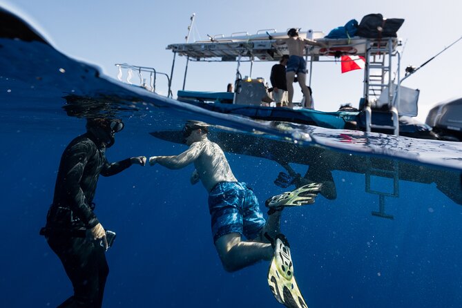 Offshore Safari Adventure in Kona With Underwater Photos - Flexible Cancellation Policy and Booking Details