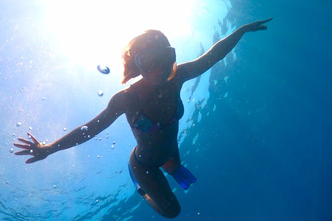 Offshore Snorkeling Adventure San Diego - Traveler Capacity and Reviews