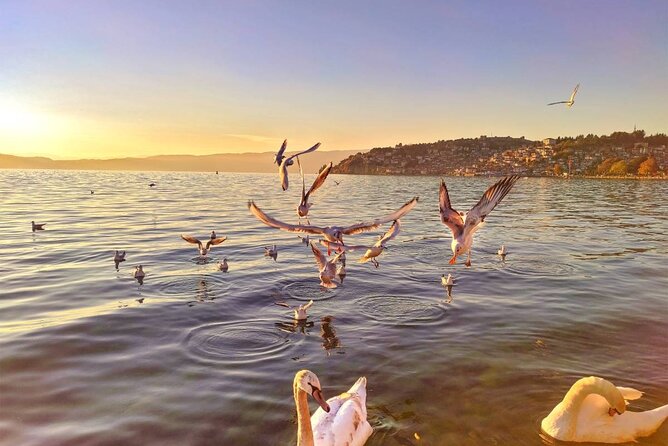 Ohrid One Day Trip From Pristina - Tour Guide and Accessibility