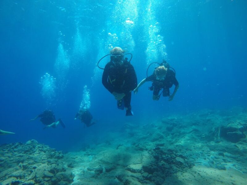 Oia: 2 Guided Scuba Dives off Santorini for Certified Divers - Dive Duration and Group Size