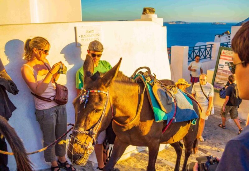 Oia Sunset Daily Tour - Experience Highlights